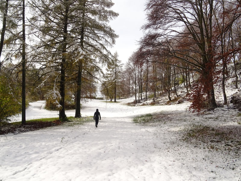 prime escursioni sulla neve....autunno  2019